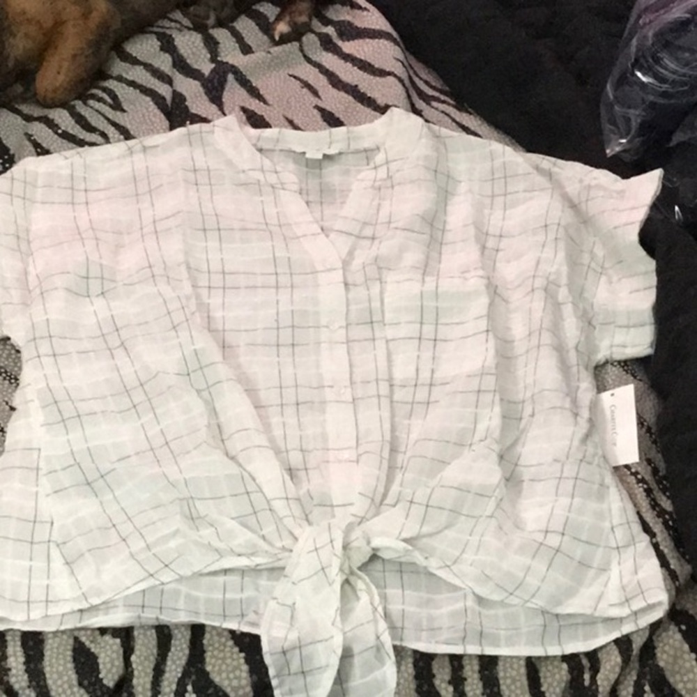 Charter club linen blouse